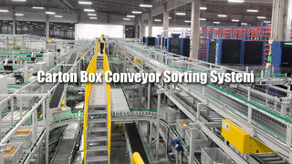 Sistema de clasificación de transportadores de cajas de cartón 02