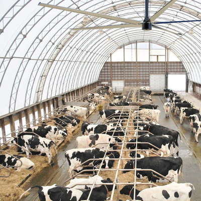 Ventiladores de techo HVLS industriales grandes para los ventiladores de taller grandes de fábrica