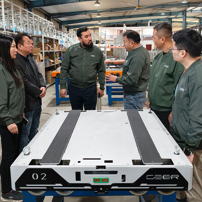 Vehículo lanzadera de radio de cuatro vías para sistema automático de almacenamiento y recuperación (ASRS) de palets con estanterías tipo runner